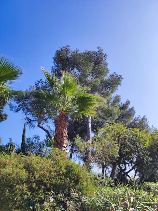فيلا La Californienne كاركيران المظهر الخارجي الصورة